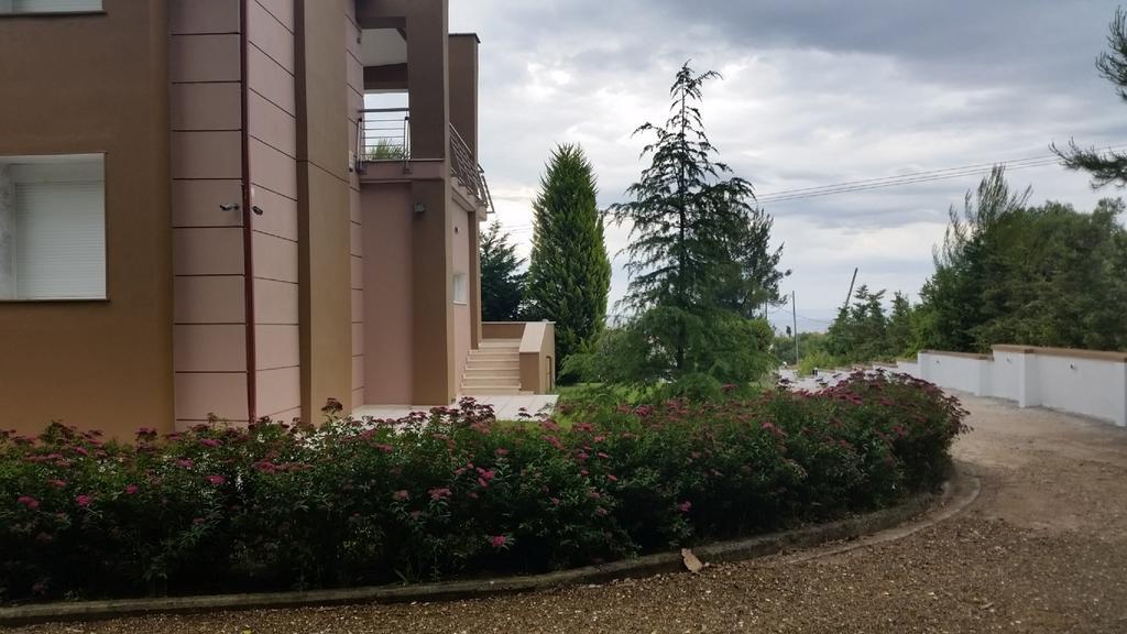 Villa Anna Maria Kriopigi Buitenkant foto
